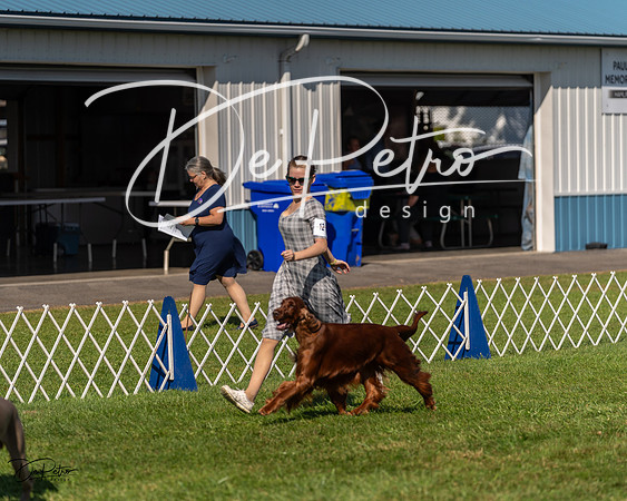 20230903-DSC02997