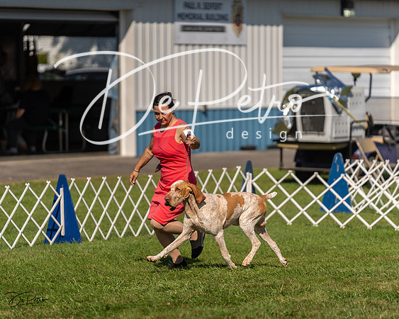 20230903-DSC02999