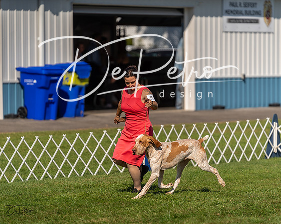 20230903-DSC03002
