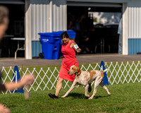 20230903-DSC03004