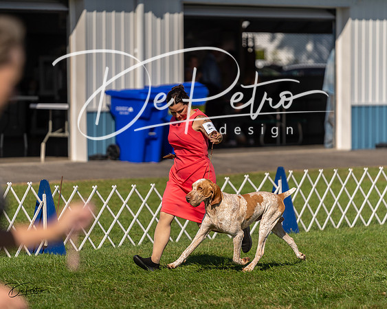 20230903-DSC03004