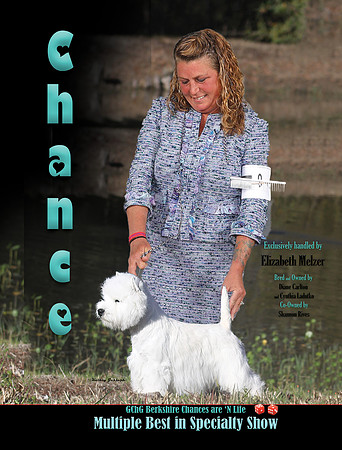 Chance DN back cover 31822