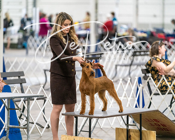 20231026-DSC09019