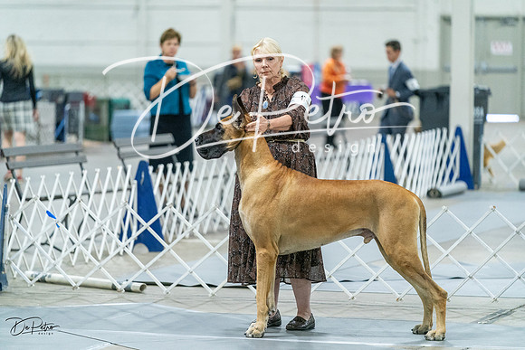 20231026-DSC09234