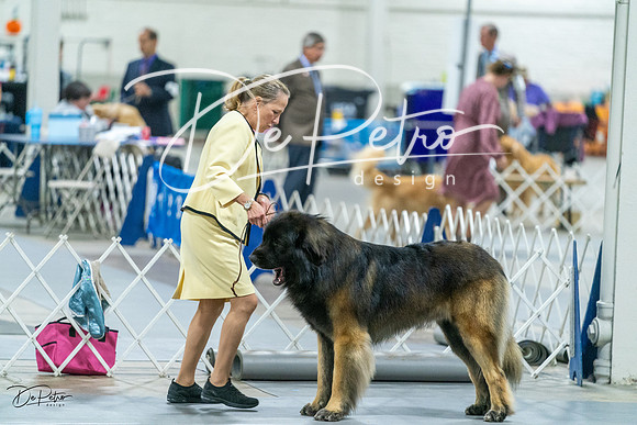 20231026-DSC09226