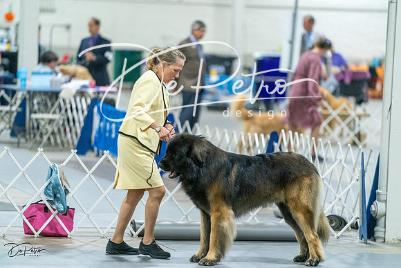 20231026-DSC09227