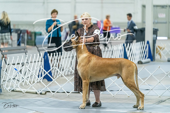 20231026-DSC09233