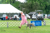 20240630-DSC02227