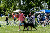 Longshore-Southport Dobermans