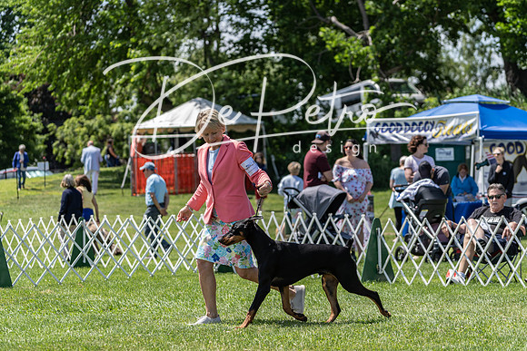 20190609-DSC09362