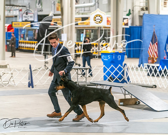 20250302-DSC07595