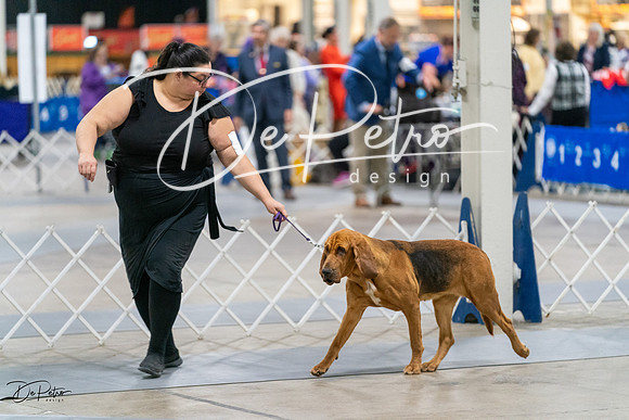 20231029-DSC04536