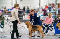 20231029-DSC04541