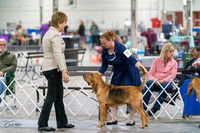 20231029-DSC04543