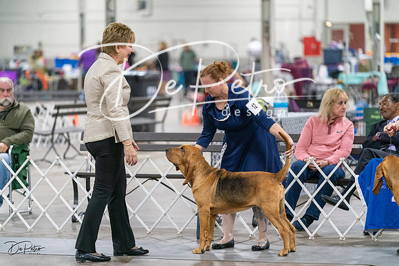20231029-DSC04543