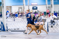 20231029-DSC04544