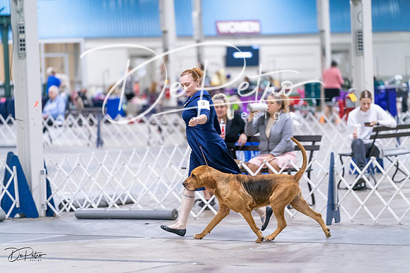 20231029-DSC04544