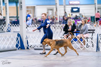 20231029-DSC04549