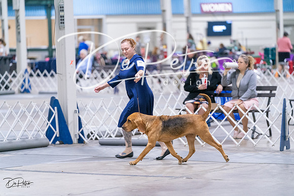 20231029-DSC04549