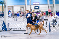 20231029-DSC04545