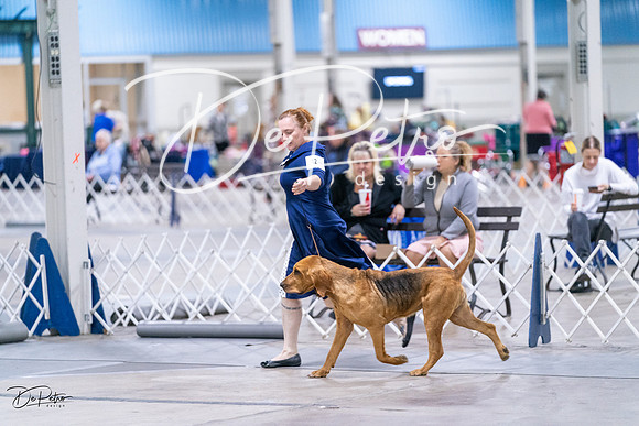 20231029-DSC04545