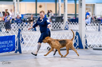 20231029-DSC04554