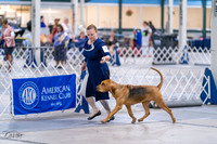 20231029-DSC04559