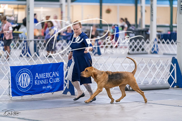 20231029-DSC04559