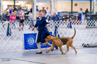 20231029-DSC04564
