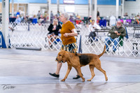 20231029-DSC04567