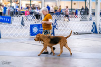 20231029-DSC04589