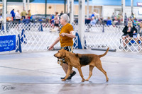 20231029-DSC04581