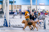 20231029-DSC04593