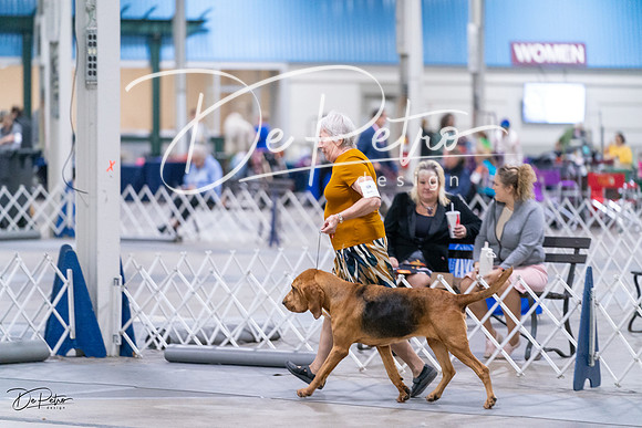 20231029-DSC04593