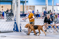 20231029-DSC04599