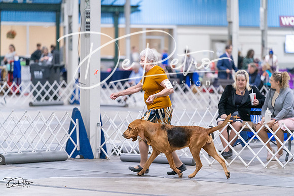20231029-DSC04599