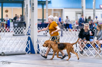 20231029-DSC04600