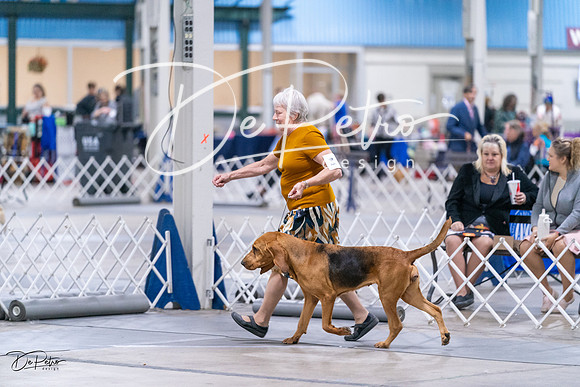 20231029-DSC04600