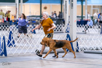 20231029-DSC04603