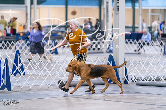20231029-DSC04603