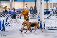 20231029-DSC04604