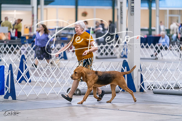 20231029-DSC04604