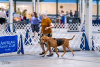 20231029-DSC04609
