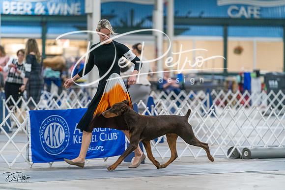 20231029-DSC04822