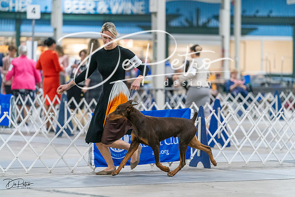 20231029-DSC04827
