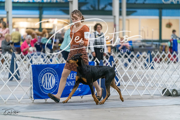 20231029-DSC04863