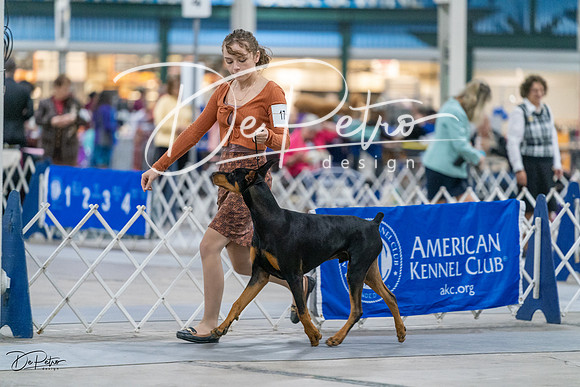 20231029-DSC04872