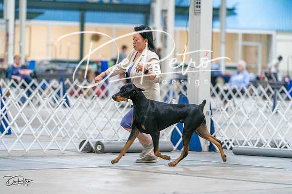 20231029-DSC04890