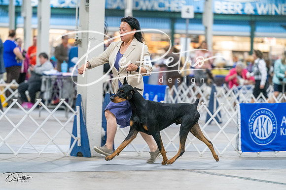 20231029-DSC04907