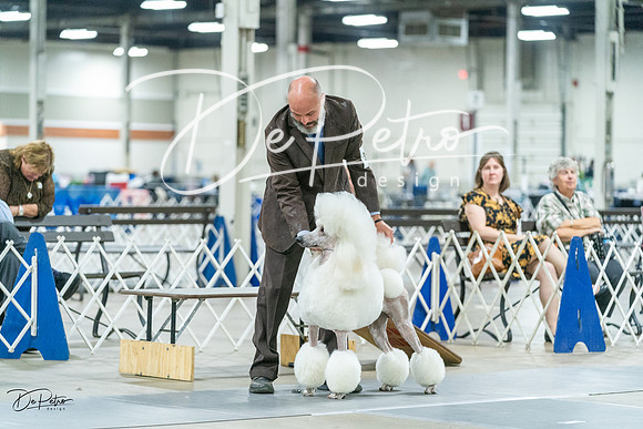 20231026-DSC01323